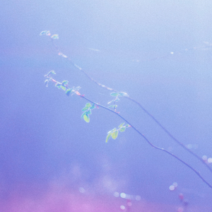 初次扩张H疼哭男男
