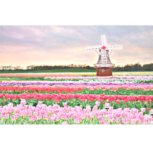 初次扩张H疼哭男男
