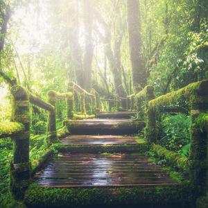 初次扩张H疼哭男男
